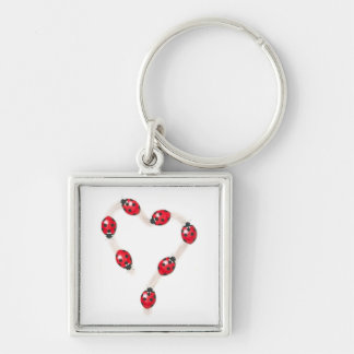 Ladybug Herzkette Schlüsselanhänger