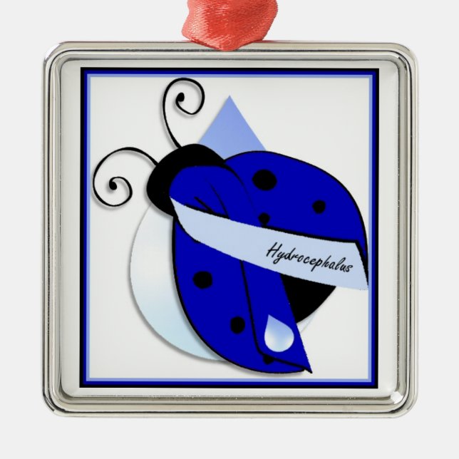 Ladybug Hydrocephalus Ornament (Vorne)