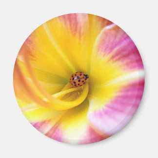Ladybug in Lilly Magnet