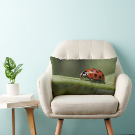 Ladybug Insect Lendenkissen