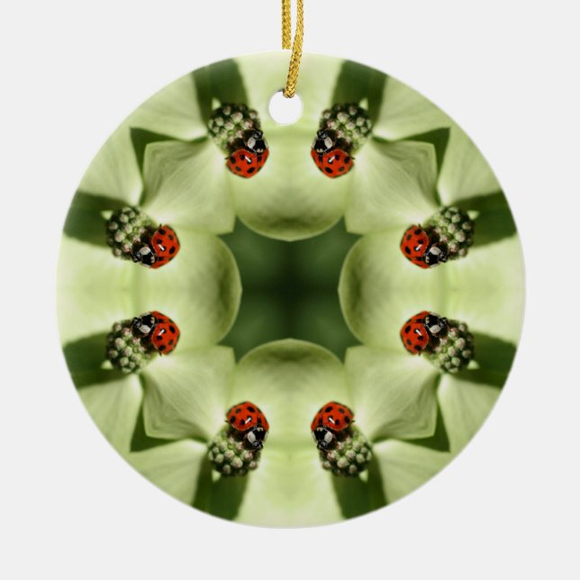 Ladybug Kaleidoskop Naturschutzgebiet Keramik Ornament (Vorne)
