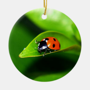 Ladybug Keramik Ornament