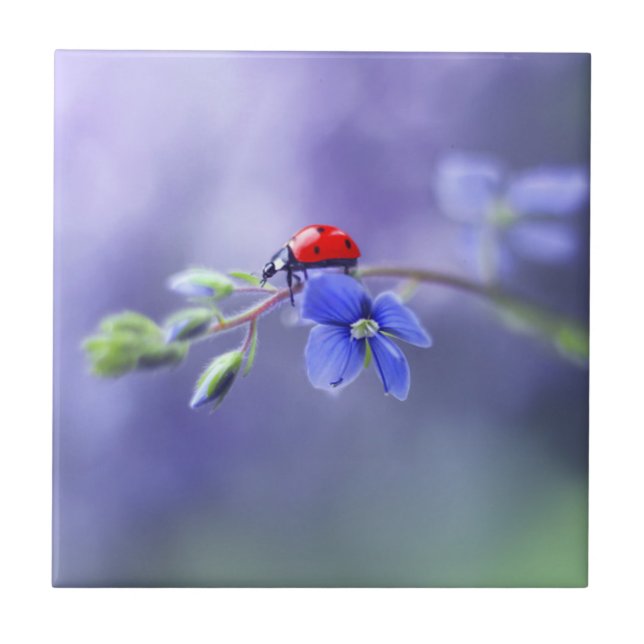 LADYBUG Keramik Tile Fliese (Vorderseite)