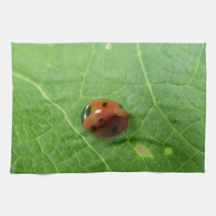 Ladybug Küchentuch