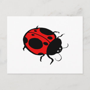Ladybug lächelnd - postkarte
