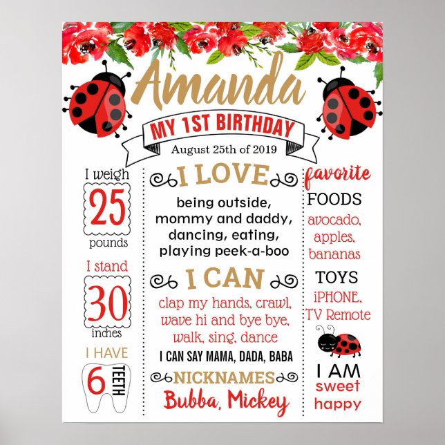 Ladybug Lady bug Birthday Party Board Poster (Vorne)