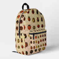 Ladybug Ladybird Beetle Insect Bug