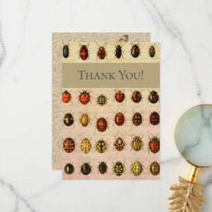Ladybug Ladybird Beetle Insect Bug Dankeskarte