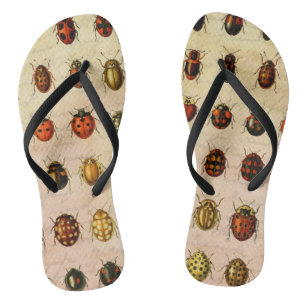 Ladybug Ladybird Beetle Insect Bug Flip Flops