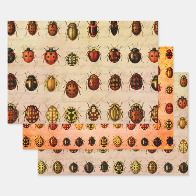 Ladybug Ladybird Beetle Insect Bug Geschenkpapier Set (Set)