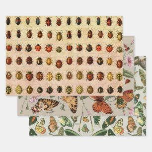 Ladybug Ladybird Beetle Insect Bug Geschenkpapier Set