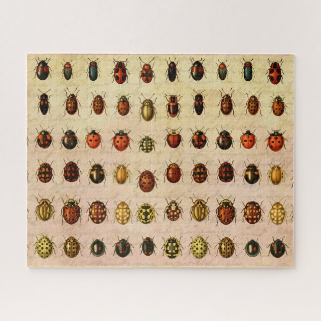 Ladybug Ladybird Beetle Insect Bug Puzzle (Horizontal)