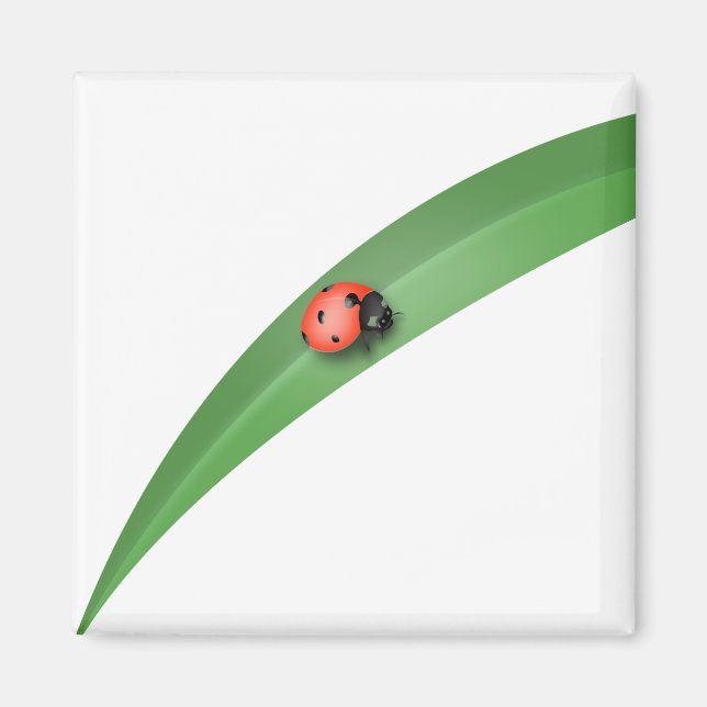 Ladybug Leaf Magnet (Vorne)
