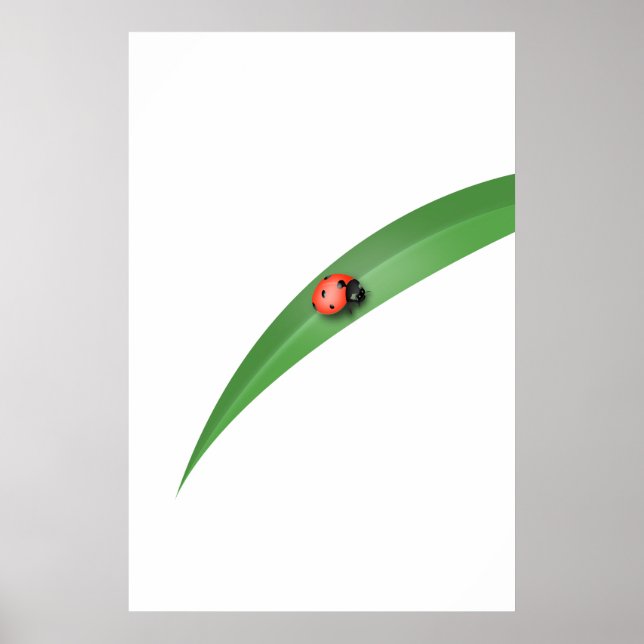 Ladybug Leaf Poster (Vorne)