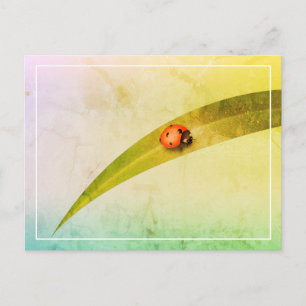 Ladybug Leaf Postkarte