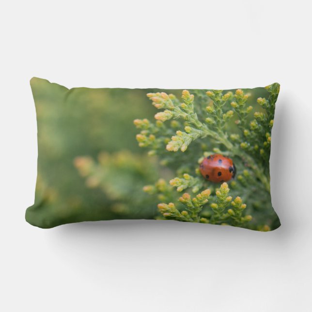 Ladybug Lendenkissen (Vorderseite)