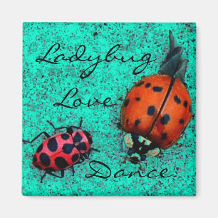 LADYBUG LIEBE DANCE MAGNET