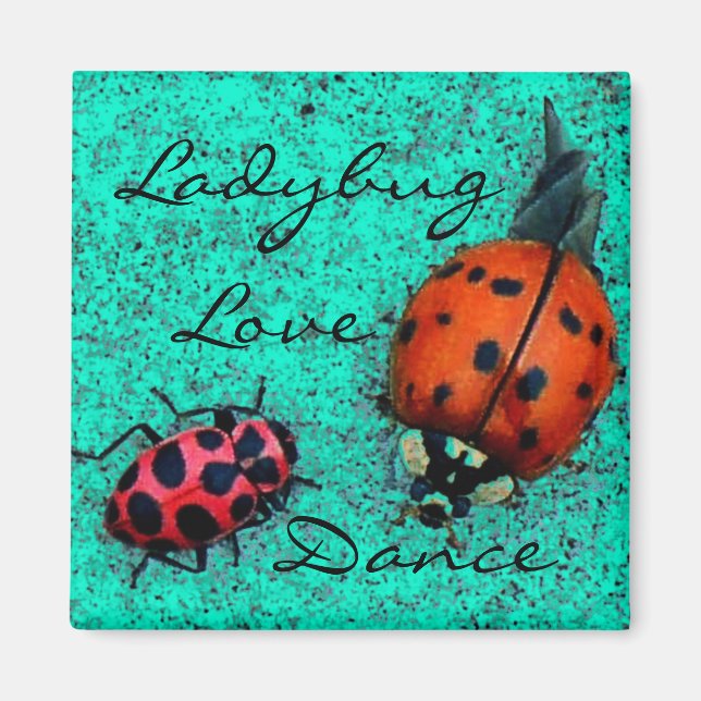 LADYBUG LIEBE DANCE MAGNET (Vorne)
