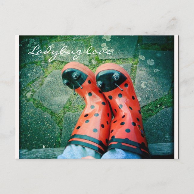 Ladybug-Liebe Postkarte (Vorderseite)