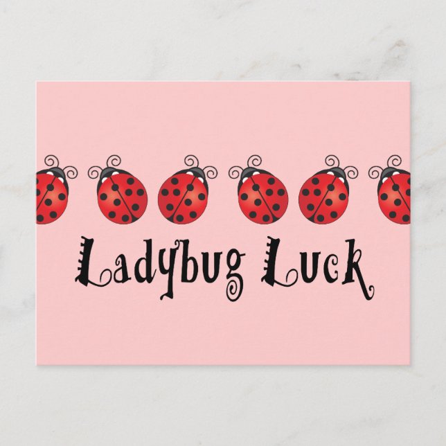 Ladybug Luck Postkarte (Vorderseite)