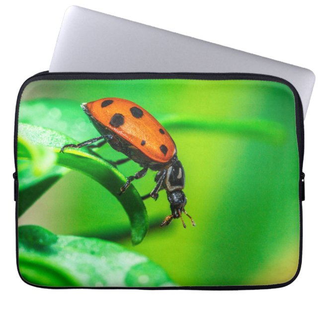 Ladybug Macro Laptop Sleeve | Nature Tech Pouch (Vorderseite)