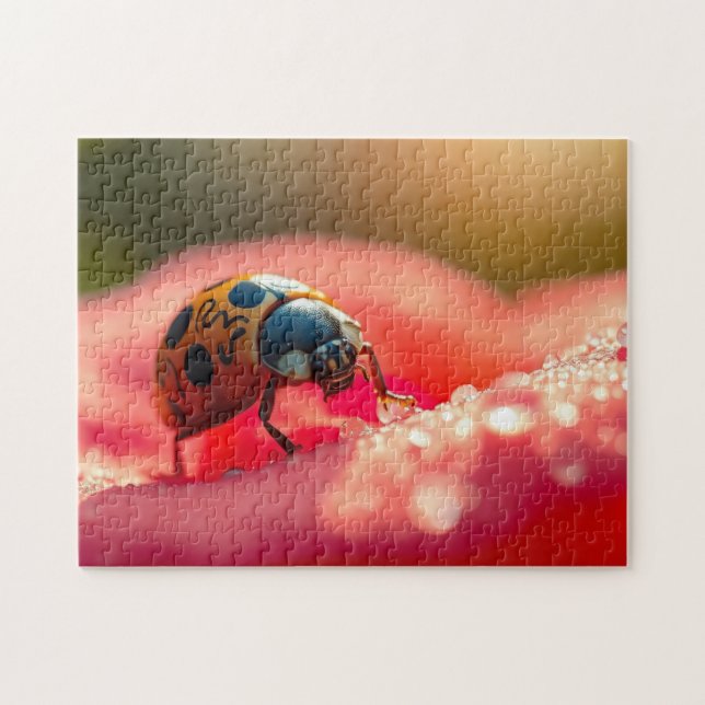 Ladybug macro on a flower puzzle (Horizontal)