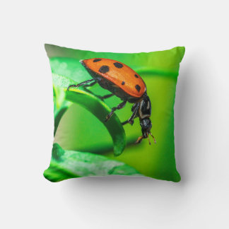 Ladybug Macro Throw Pillow Nature-Inspired Decor Kissen