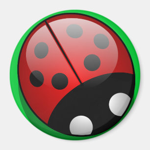 Ladybug Magnet