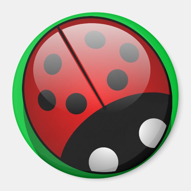 Ladybug Magnet (Vorne)