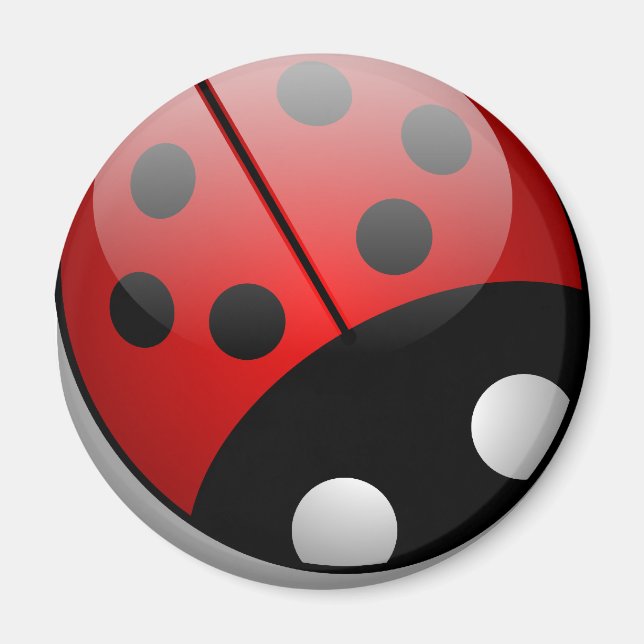 Ladybug Magnet (Vorne)