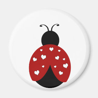Ladybug Magnet