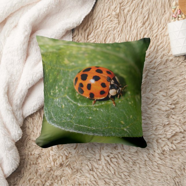 Ladybug Nahe Natur Kissen (Decke)