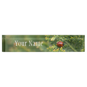 Ladybug Namensplakette