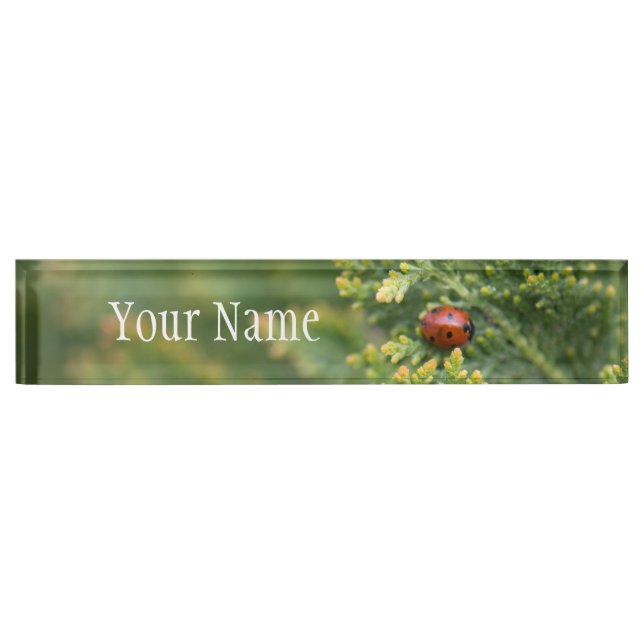 Ladybug Namensplakette (Vorderseite)