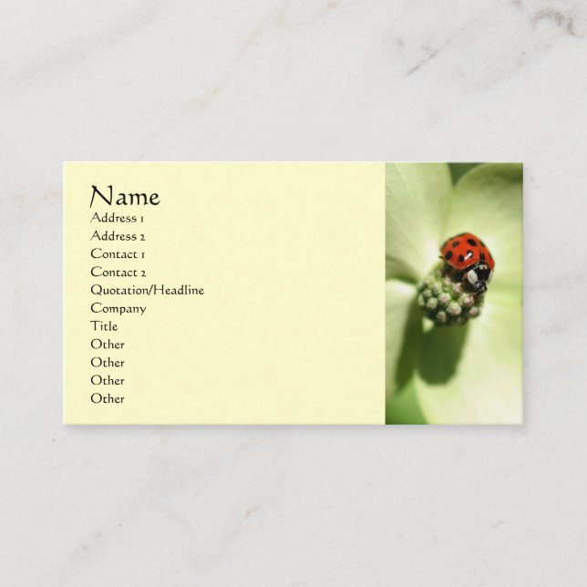 Ladybug Nature Fotografy Business Card Visitenkarte (Vorderseite)