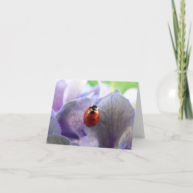 LadyBug Notecard Karte (Vorderseite)
