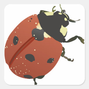 LadyBug Office-Zuhause personalize Destiny Destiny Quadratischer Aufkleber