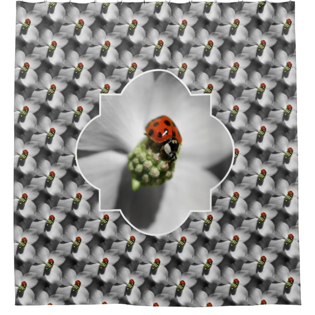 Ladybug On Dogwood Flower Nature Pattern  Duschvorhang (Vorderseite)