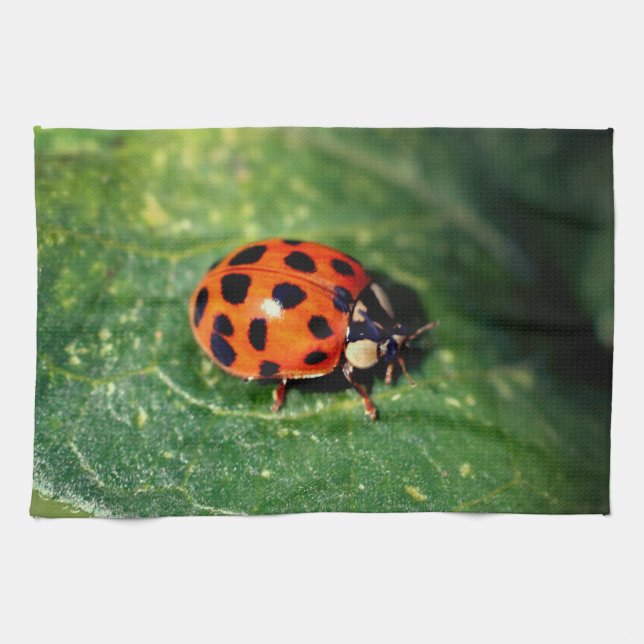 Ladybug On Leaf Close Up  Geschirrtuch (Horizontal)