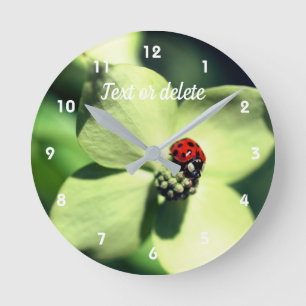 Ladybug on White Dogwood Blume Personalisiert Runde Wanduhr