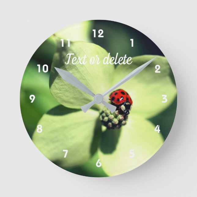 Ladybug on White Dogwood Blume Personalisiert Runde Wanduhr (Vorderseite)