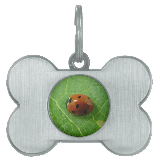 Ladybug Pet Tag Tiermarke (Vorderseite)