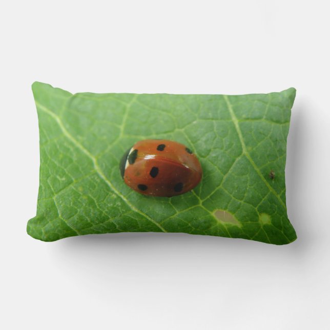 Ladybug Pillow Lendenkissen (Vorderseite)