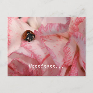 Ladybug Postcard Postkarte