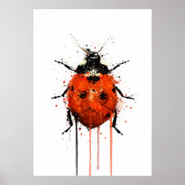 Ladybug Poster