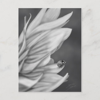 Ladybug Postkarte