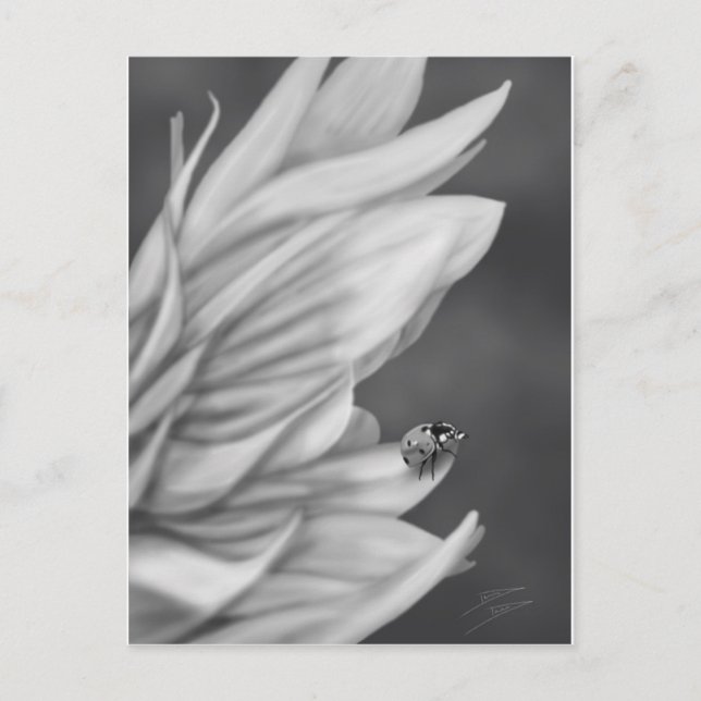 Ladybug Postkarte (Vorderseite)