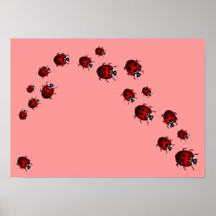 Ladybug Print Ladybird Art Large Small Poster