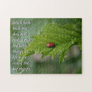 Ladybug Puzzle