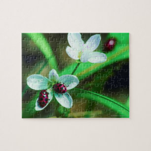 Ladybug Puzzle